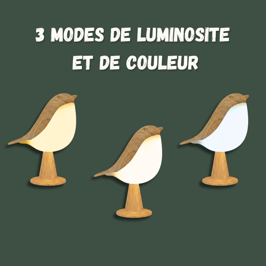 Lampe Oiseau en Bois – Éclairage LED d’Ambiance Naturel - Hoonrise